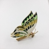 Broche de oro y esmaltes en forma de mariposa